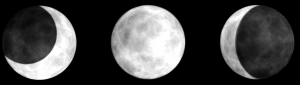 Lunar Calendar - Moon Phases